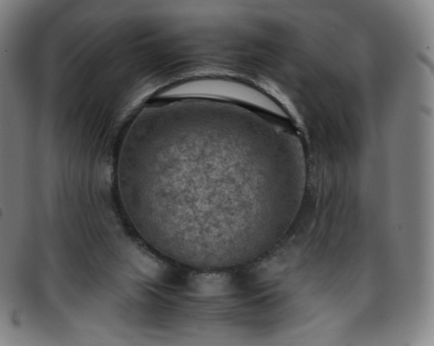 X0000097660063200803071542