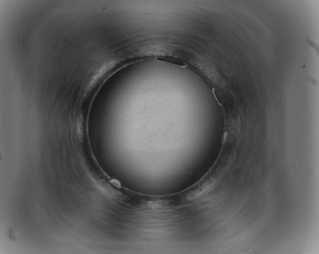 X0000097660064200803071542