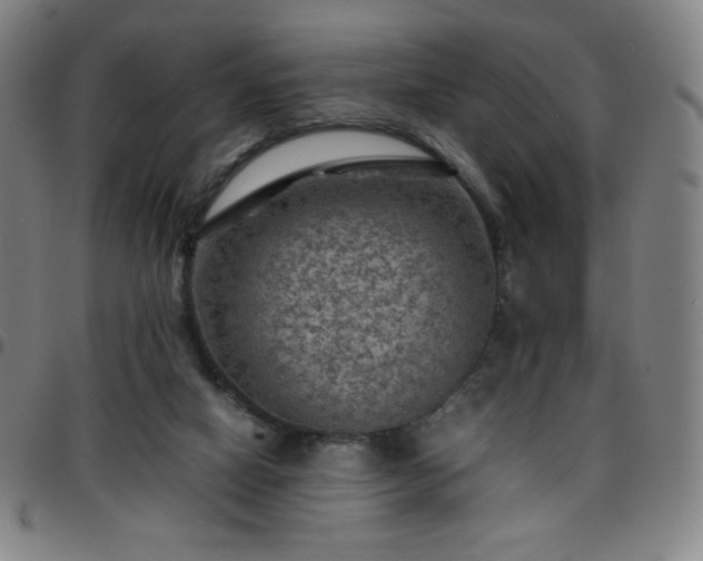 X0000097660066200803071542