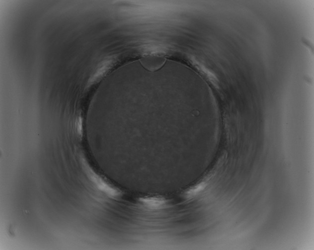 X0000097660067200803071542