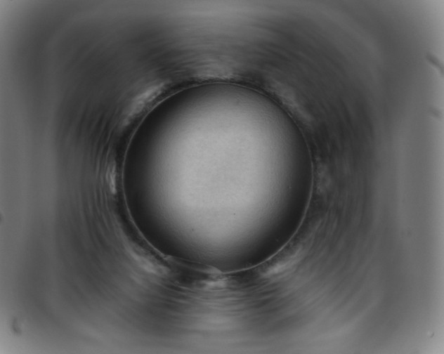 X0000097660068200803071542