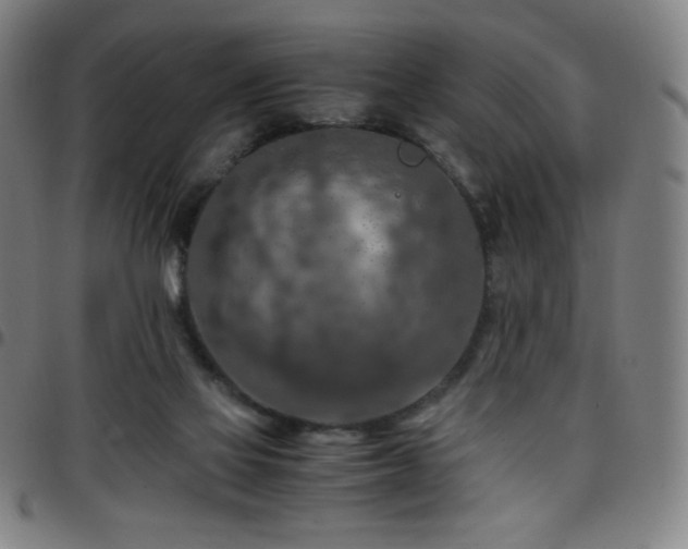 X0000097660069200803071542