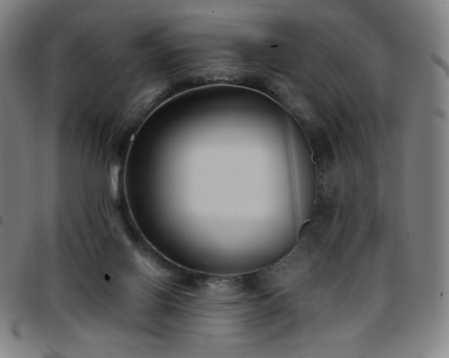 X0000097660070200803071542