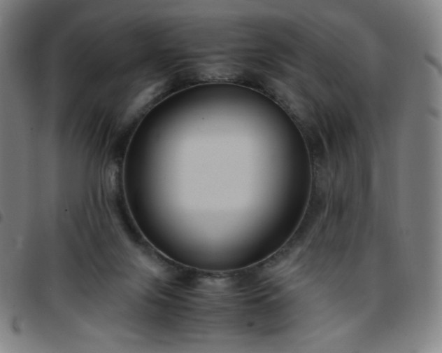 X0000097660071200803071542
