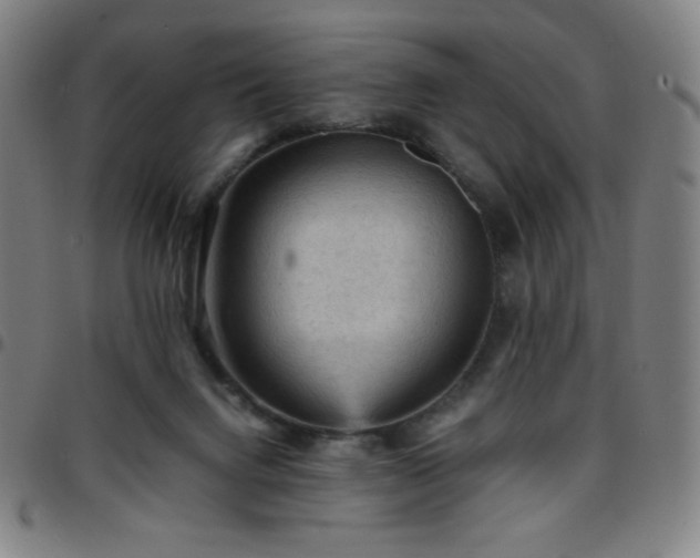 X0000097660072200803071542