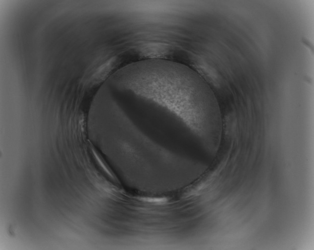X0000097660073200803071542