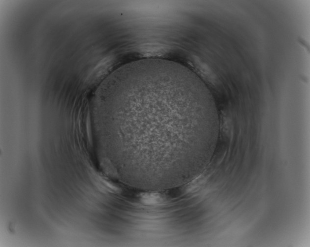 X0000097660074200803071542