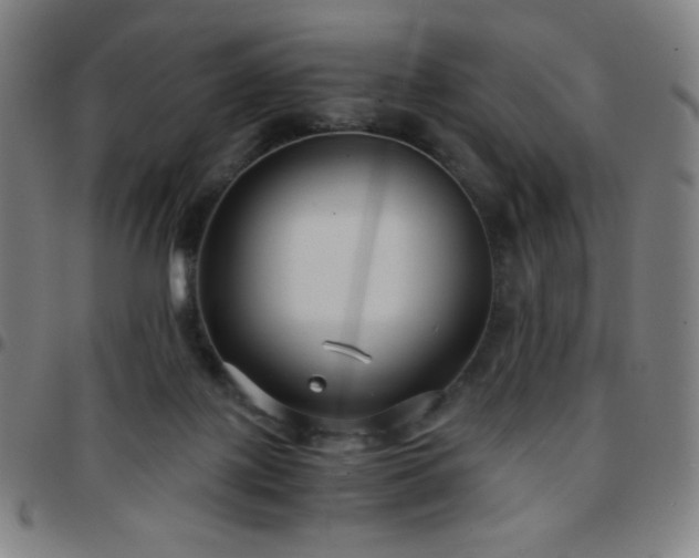 X0000097660075200803071542