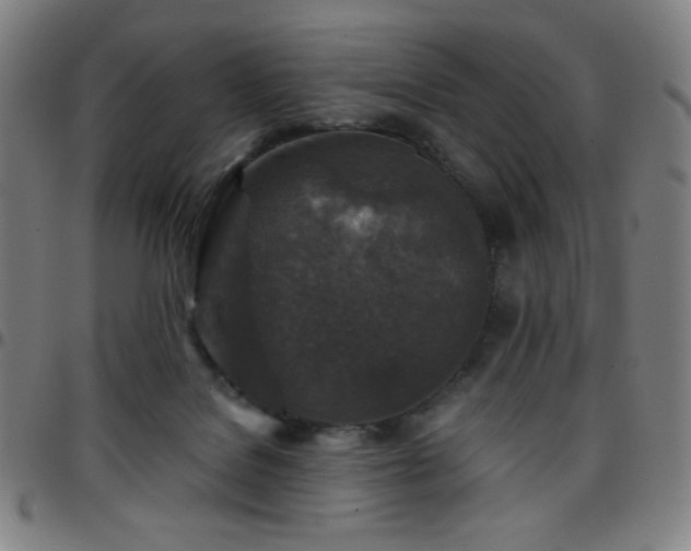 X0000097660076200803071542