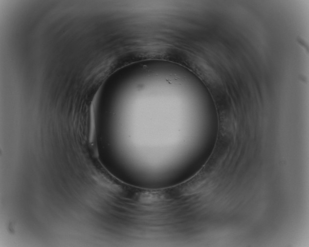X0000097660077200803071542