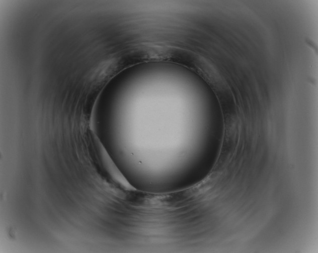X0000097660078200803071542