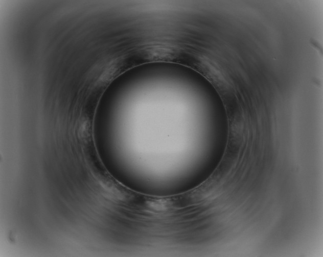 X0000097660079200803071542