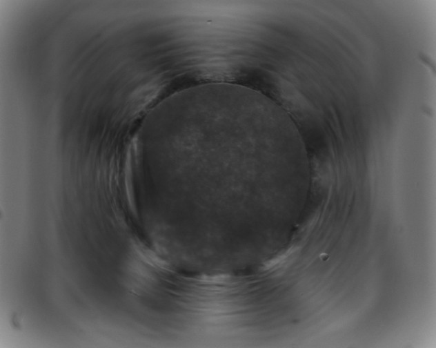 X0000097660080200803071542