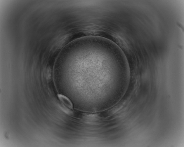 X0000097660081200803071542