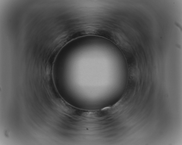 X0000097660082200803071542