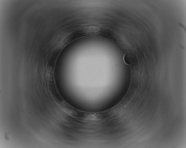 X0000097660083200803071542