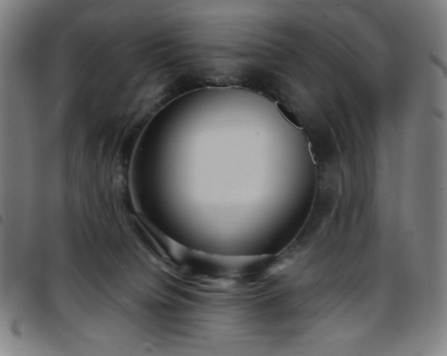X0000097660084200803071542