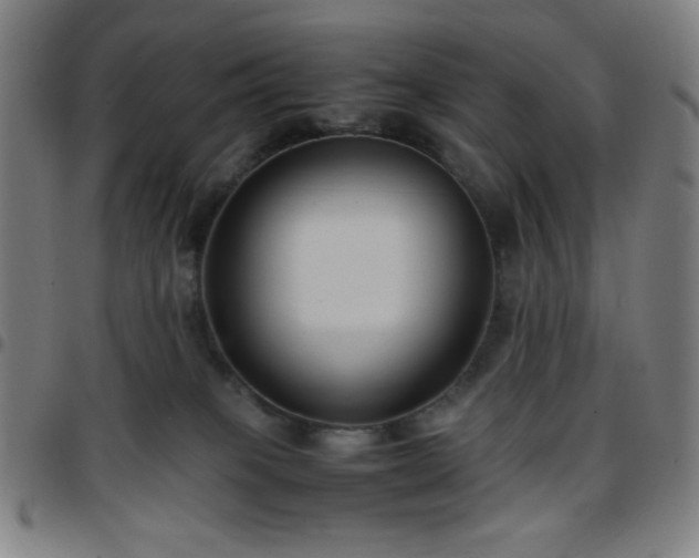 X0000097660085200803071542