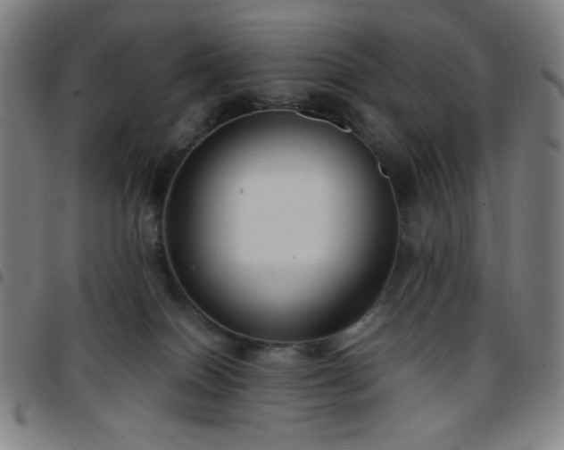 X0000097660086200803071542