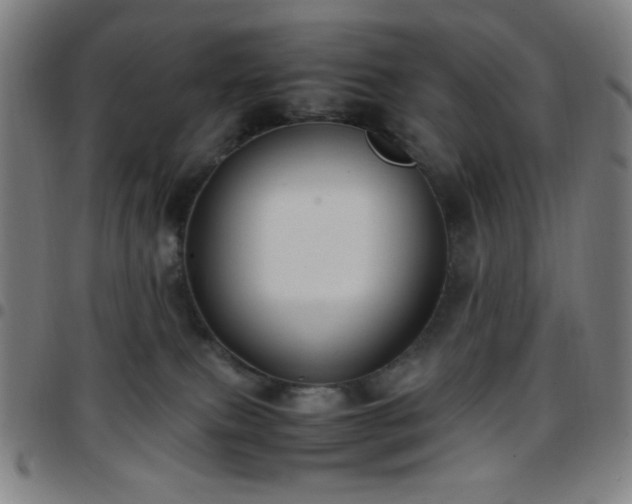 X0000097660087200803071542