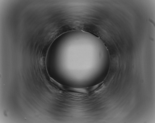 X0000097660088200803071542
