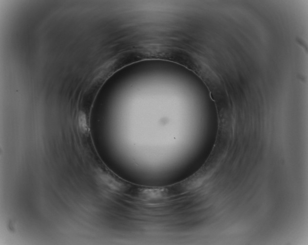 X0000097660089200803071542