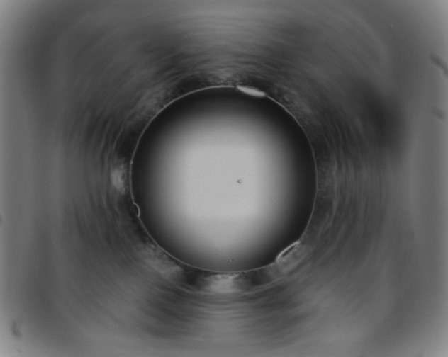 X0000097660090200803071542