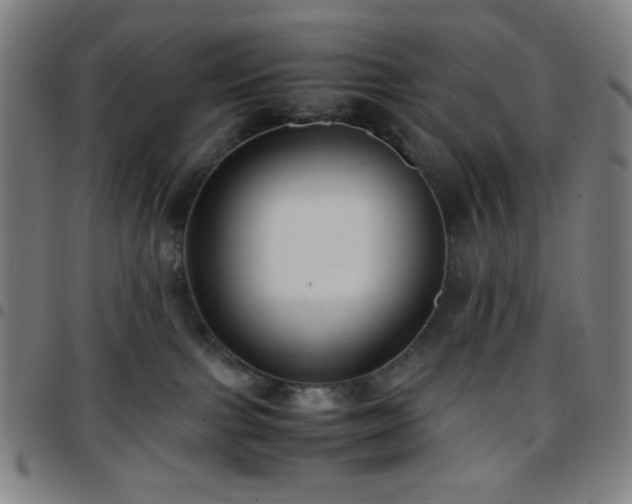 X0000097660091200803071542