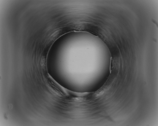X0000097660092200803071542