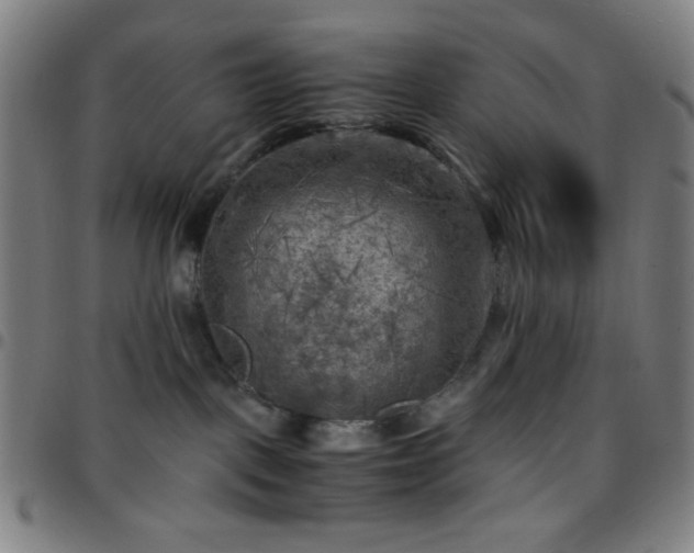 X0000097660093200803071542