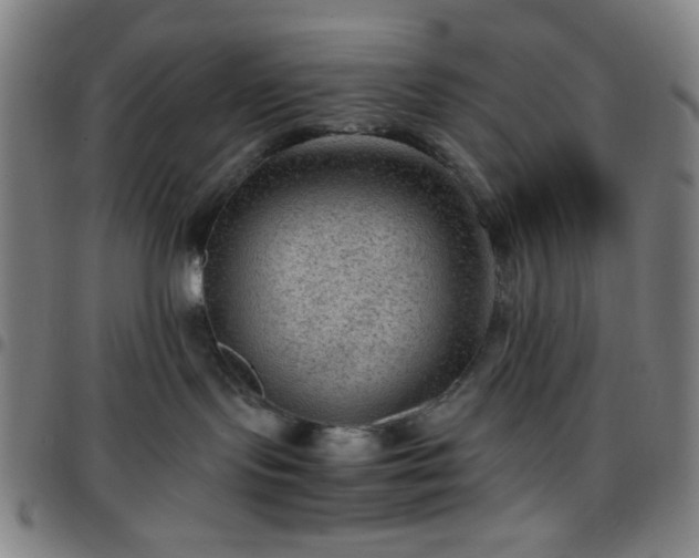 X0000097660095200803071542