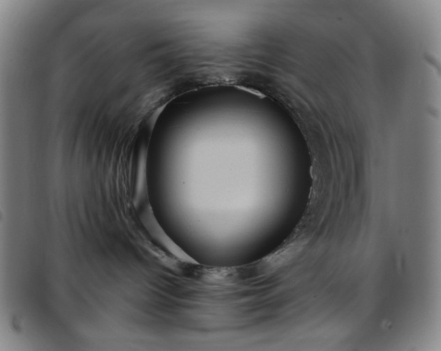 X0000097660096200803071542