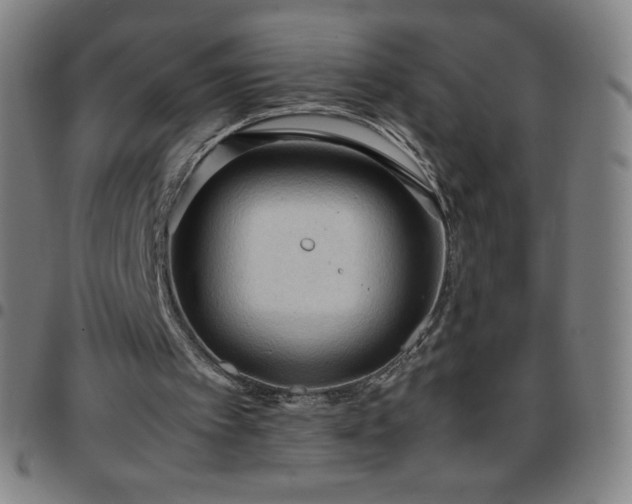 X0000097660097200803071542
