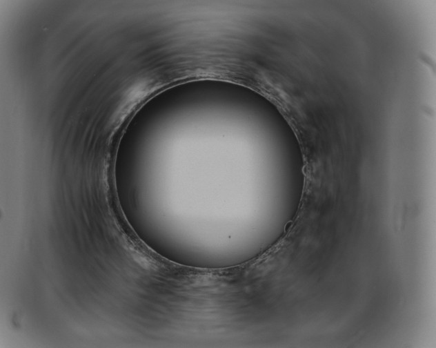 X0000097660098200803071542