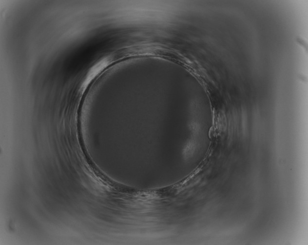 X0000097660099200803071542