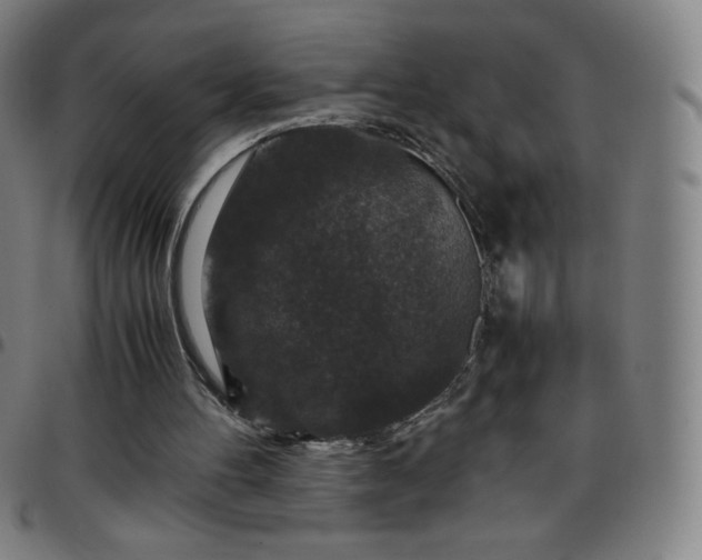 X0000097660100200803071542