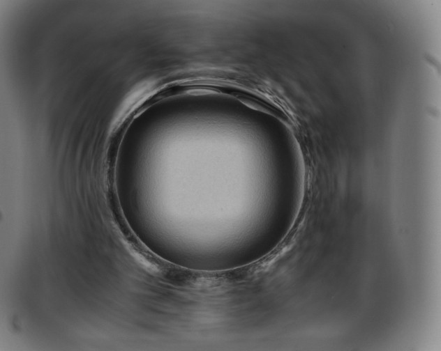 X0000097660101200803071541