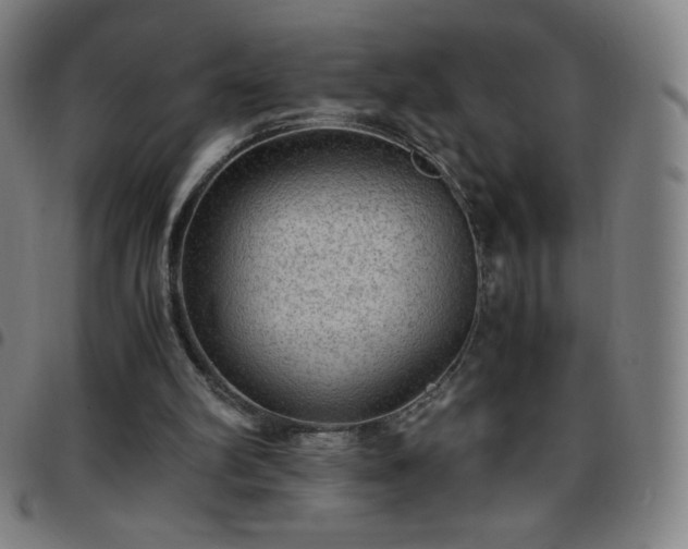 X0000097660102200803071541