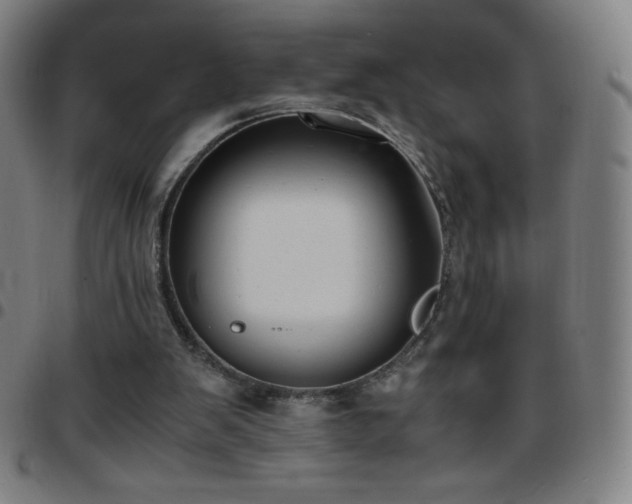 X0000097660103200803071541