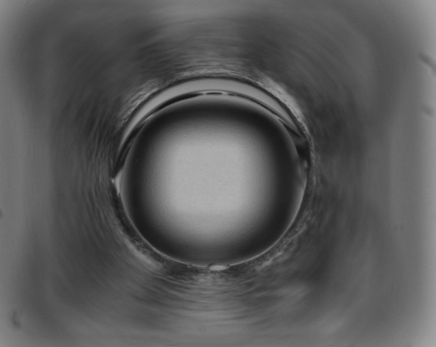 X0000097660105200803071541