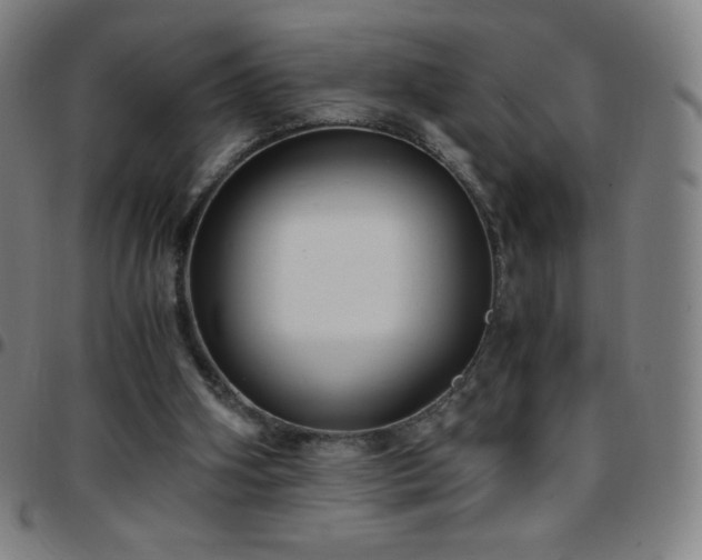X0000097660106200803071541