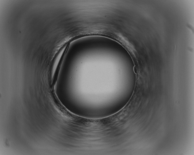 X0000097660107200803071541