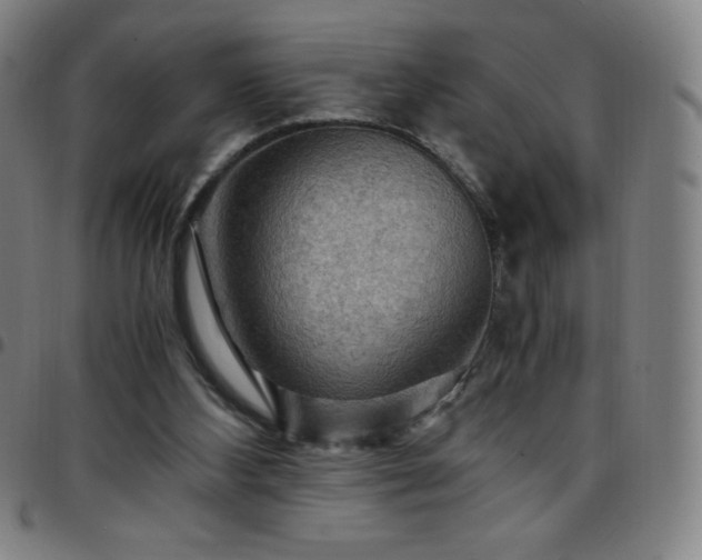 X0000097660108200803071541