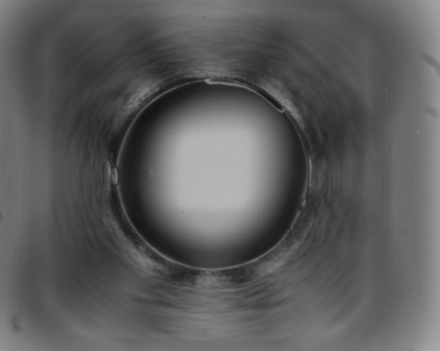 X0000097660109200803071541