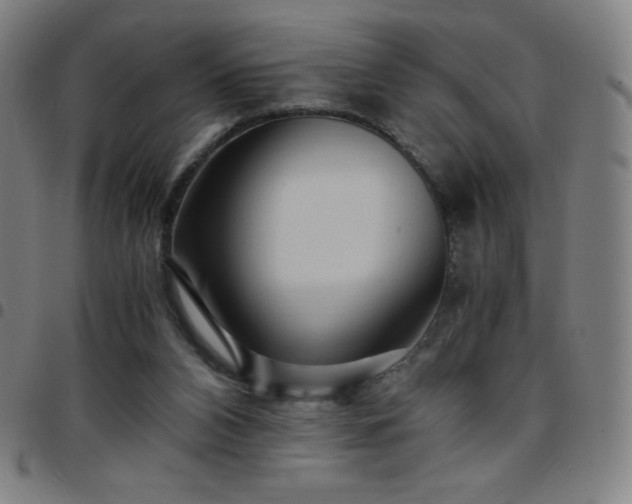X0000097660112200803071541