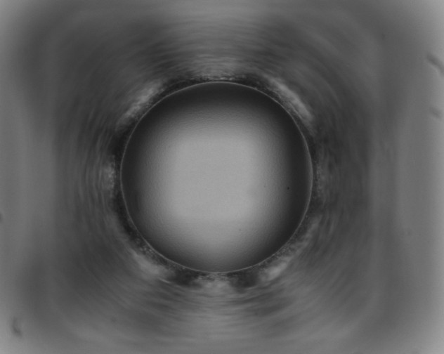 X0000097660113200803071541