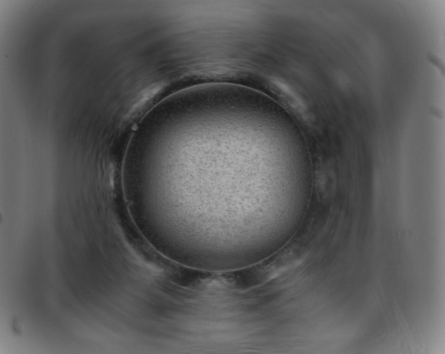 X0000097660115200803071541
