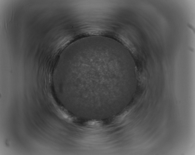 X0000097660117200803071541