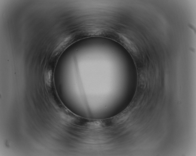 X0000097660118200803071541