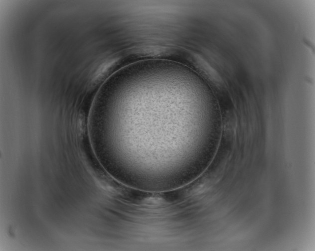 X0000097660119200803071541